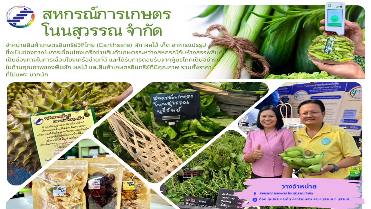 สหกรณ์การเกษตร โนนสุวรรณ จำกัด จำหน่ายสินค้าเกษตรอินทรีย์วิถีไทย (Earthsafe) ผัก ผลไม้ เห็ด อาหารแปรรูป